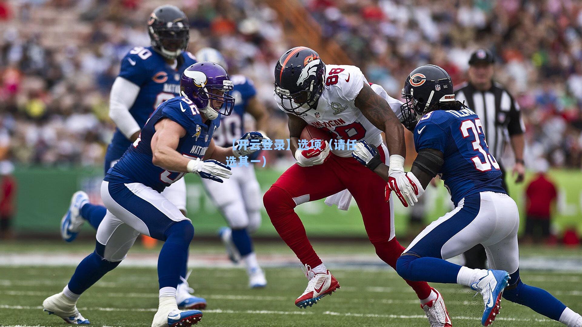 【开云登录】选项（请任选其一）