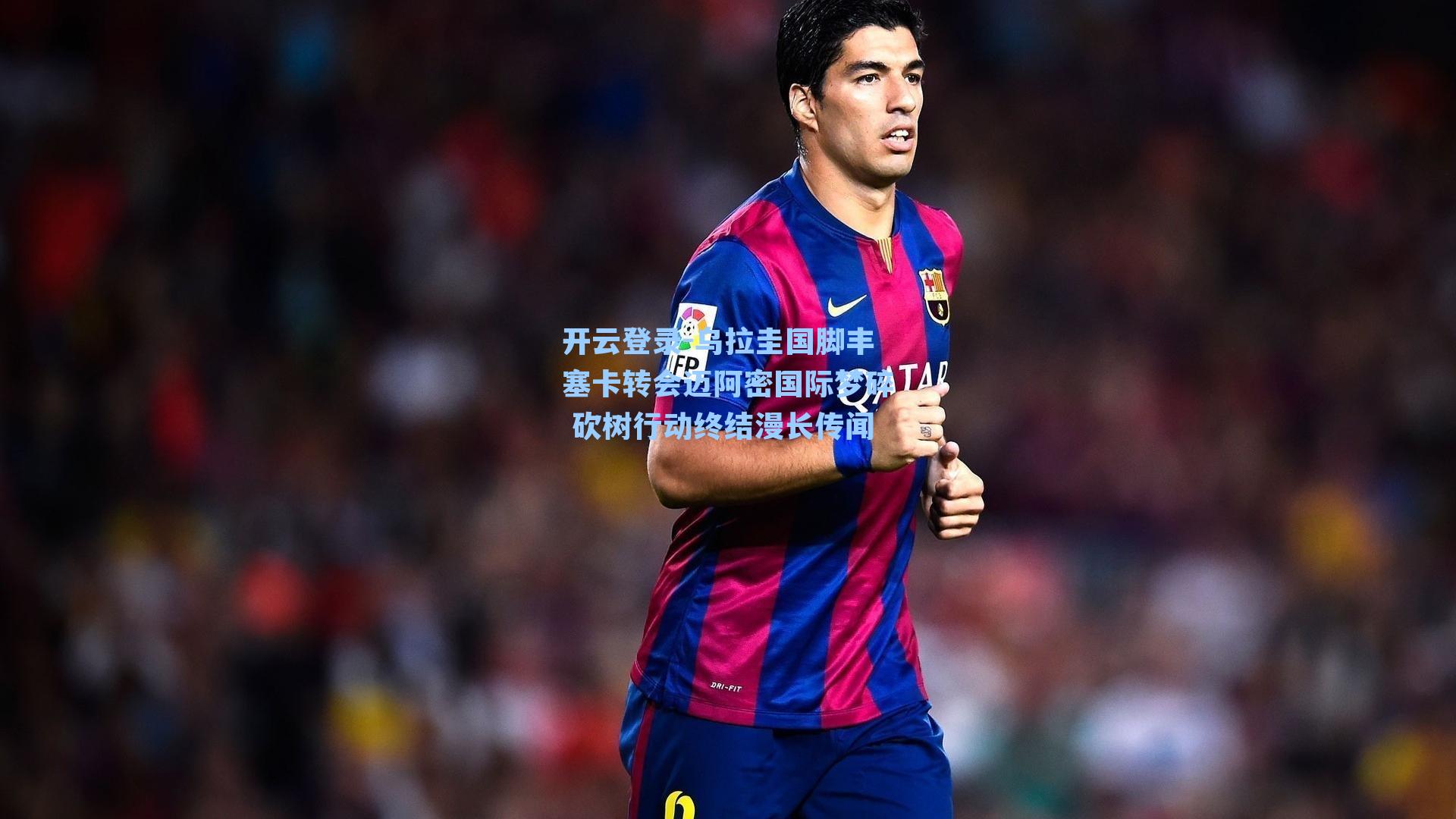 乌拉圭国脚丰塞卡转会迈阿密国际梦碎 砍树行动终结漫长传闻